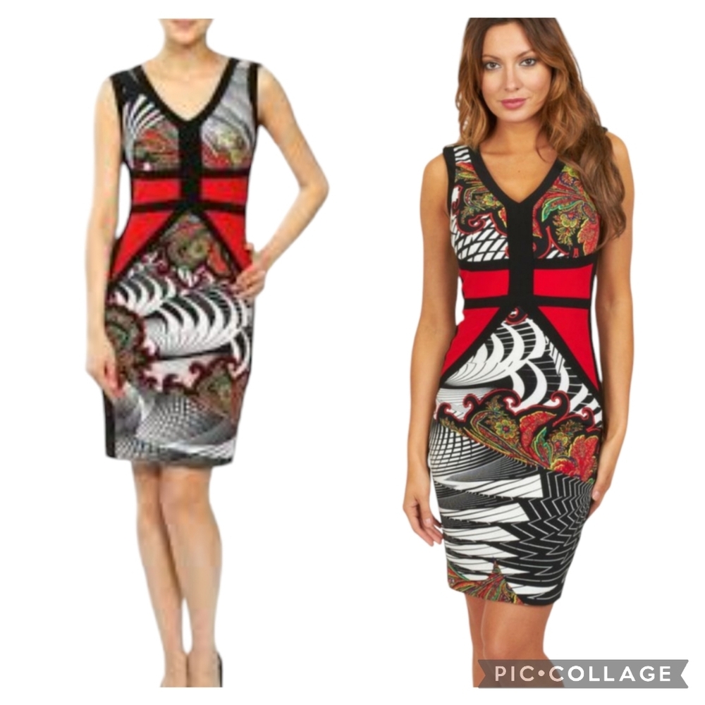 Frank Lyman Bodycon  Dress